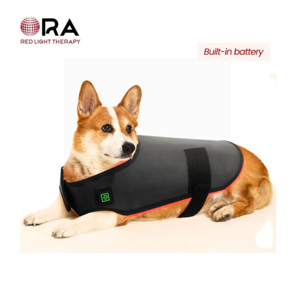 SG-WP-BD ORA for Dogs Back 01