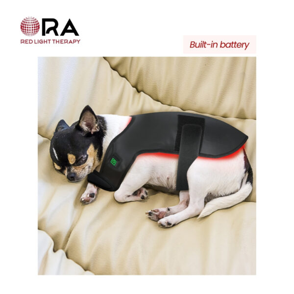 SG-WP-BD ORA for Dogs Back 02