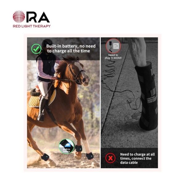 SG-WP-FT ORA for HORSES HOOF 04